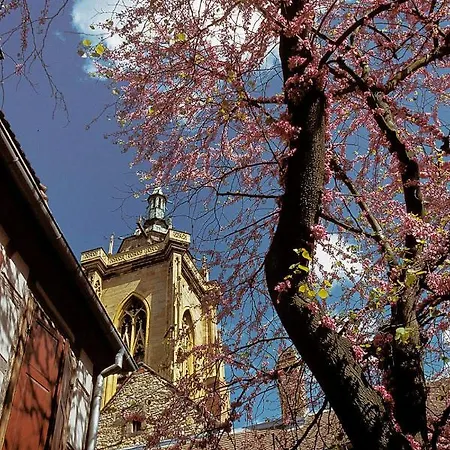 Ron's Lejlighed Colmar