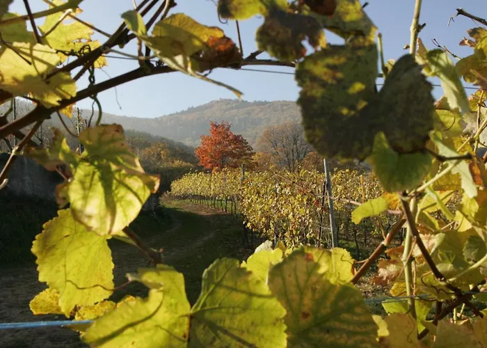 Ron's Appartamento *