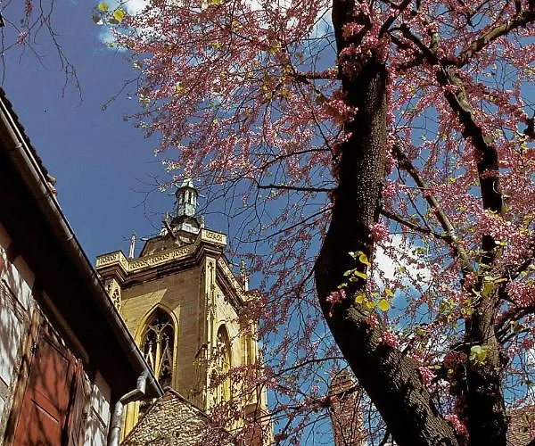 Ron's Apartment Colmar