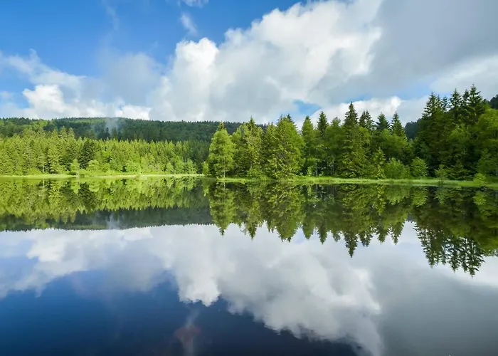 Appartamento Ron's Colmar